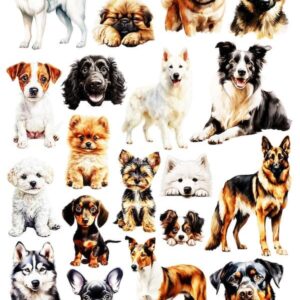 Arkusz dodatków do wycinania - Nie wszystkie rasy psów 02