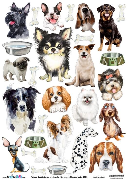 Arkusz dodatków do wycinania - Nie wszystkie rasy psów 01