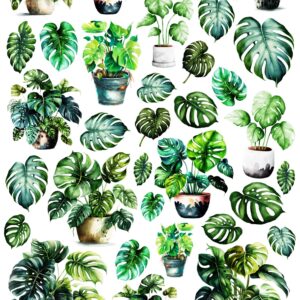 Arkusz dodatków do wycinania - Rośliny doniczkowe 02 - MONSTERA 2305AG097