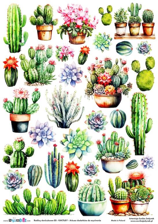 Arkusz dodatków do wycinania - Rośliny doniczkowe 03 - KAKTUSY