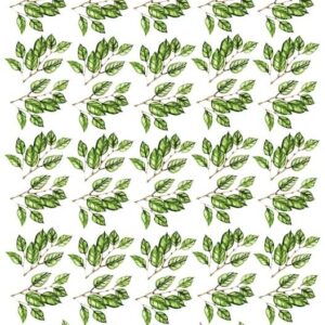 Arkusz dodatków do wycinania - Listki 21