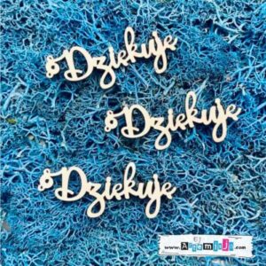 Tekturka: Napisy 16 - Dziękuję - 3 szt.
