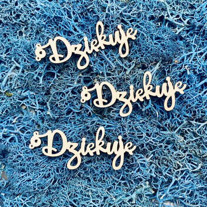 Tekturka: Napisy 16 - Dziękuję - 3 szt.