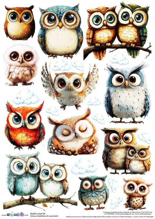 Arkusz dodatków do wycinania - Słodkie sówki 05