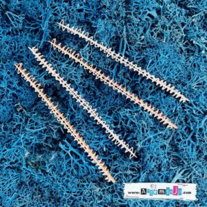 Tekturka: Zawijasy 06 - Zygzaki - 4 szt.