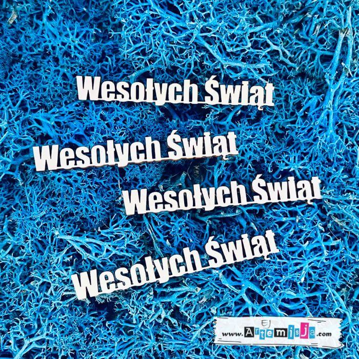 Tekturka: Napisy 22 - Wesołych Świąt - 4 szt.