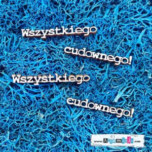 Tekturka: Napisy 17 - Wszystkiego cudownego