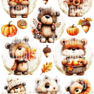 Artemisja Digital Jesienne Misie - DAG-XMAS-BEARS-AUTUMN-067