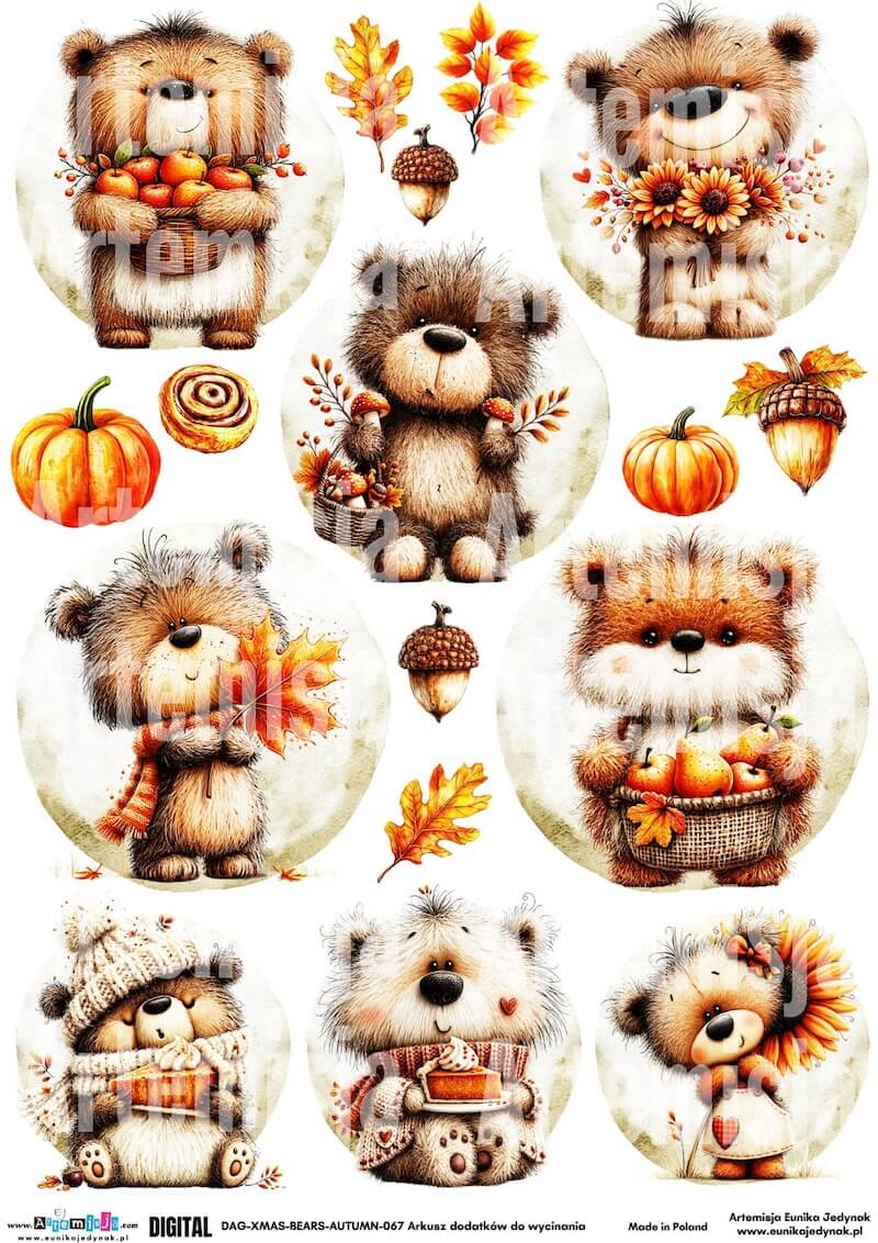 Artemisja Digital Jesienne Misie - DAG-XMAS-BEARS-AUTUMN-067