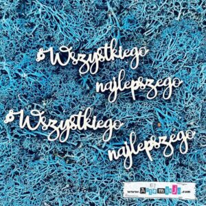 Tekturka: Napisy 28 - Wszystkiego najlepszego - 2 szt.